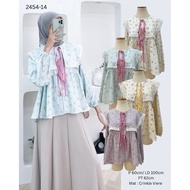 2454-14 Laurel Peplum Shirt