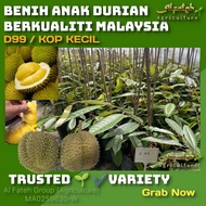 Anak Durian D 99/  KOP KECIL