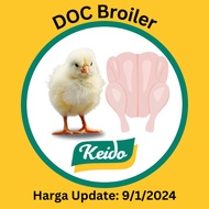 DOC Bibit Ayam Broiler Wonokoyo (SPER/BM/Afkir) HARGA UPDATE 29/1/2024