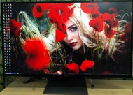 Dell 43inch 43吋 U4320Q 4K IPS USB-C Monitor 屏幕