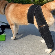 Dog Leg Knee Pad Built In PP Resin Support Strip Pet Supply