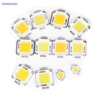 [xianyuan] 1pc cob led light dc led bulb chip on board 10W 20W 30W 50W 70W 100W 2 colors XY