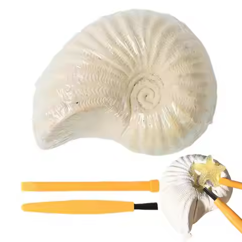 Gem Mining Set for Kids Conch Shape Gemstone Dig Stem Science Kit Excavate Dig & Reveal Gemstones Cr