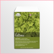 ☫ ◳ Invicta RZ Batavia Pelleted Lettuce Seeds
