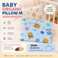 Baby Organic Bean Pillow M - Buckwheat/ Bean Sprout Husk Pillow M - Bantal Bayi
