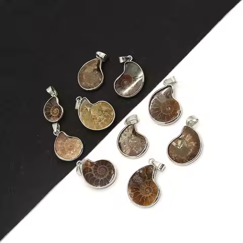 Natural Stone Shell Ammonite Snail Pendant 10-35mm Charm Vintage Making DIY Necklace Earrings Fashio