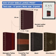ESV Study Bible Large Print | Text size 11 | Leathersoft | Gladsounds