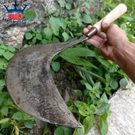 Besar Jumbo Sabit Semar Bahan Baja Isen Wojo Super Kuat Dan Tajam  - Aret Bilah Lebar No1 Potong Rum