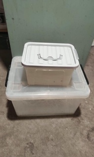 兩個收納箱/膠箱/儲物箱