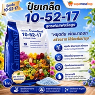 Fertilizer Giffarine Gromax 10-52-17 High Phosphorus Formula Stop The Tree Develop Flowers Create Ro