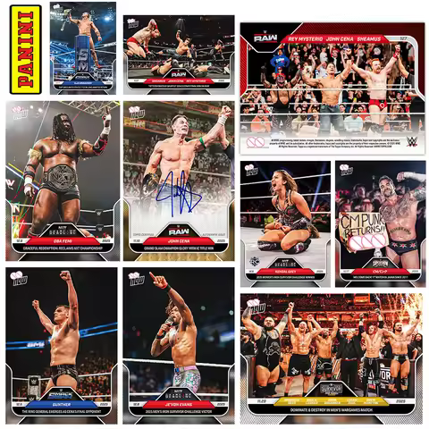 PANINI DIY homemade WWE Kendal Grey John Cena Sheamus Rey Mysterio Breakker Slanted Light Laser Coll
