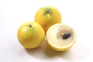 無毒黃金果(大果) 5台斤(5-8顆)