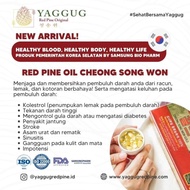 Ready Red Pine Oil Korea Cheong Song Won Korea (10 Caps, 100%