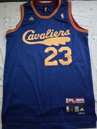 BWNOT NBA Adidas LeBron James Cavs 藍羽毛 Swingman Jersey M