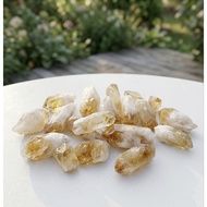 Natural Citrine Crystal Point Manifestation & Abundance Stone | Wealth & Success Energy Crystal