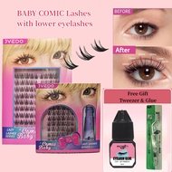 Manga Style Lashes Individual Lashes Cluster D Curl Eyelashes Reusable False Eyelashes with Glue Eye