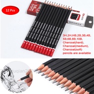 12 Pcs Sketching Pencils 3H/2H/HB/2B/3B/4B/5B/6B/8B/10B/Charcoal Hight Quality Wood and Graphite Lea
