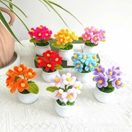 Mini Flower Pots Meaningful Gifts for Loved Ones February 14 March 8 October 20 November 21 (FLOWERS