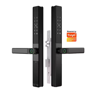 #WoW HHG# Double sides Fingerprint Smart Aluminum lock 2885 3085 mortise Waterproof IP65 ttlock Tuya