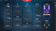 VALORANT 靚 skin 帳號