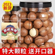 君臣乐夏威夷果 奶油味新货坚果干果年货 零食 1罐装共250克