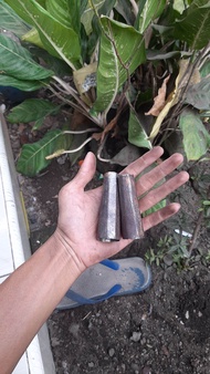 Karah / paksi untuk arit sabit