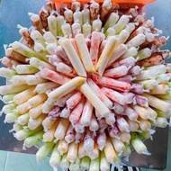 100g Plastic yogurt bag size 4x16 and 4x18 - UNFOLDED GOODS