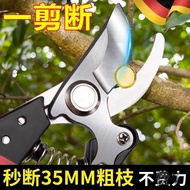 Gardening Shears Pruning Shears Flower Shears Garden Shears Flower Shears Branch Fruit Tree Shears B