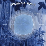 ZUS® Barista Roasted Coffee Bean - Colombia Huila - 250g