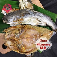 IM007 - Ikan Masin Mayong | Salted Fish | 猫鱼咸鱼干【100 - 500g】