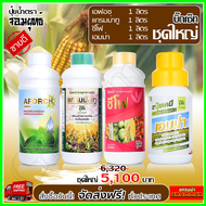แกรมม่าทู (1000 ) ปุ๋ยน้ำแกรมม่าทู+ซีโฟ ปุ๋ยน้ำซีโฟ (1000 )+เอมม่า ปุ๋ยน้ำเอมม่า (1000 ซีซี )+เอฟอช 