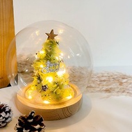 永生聖誕樹水晶球燈飾 玻璃花盅 聖誕禮物 交換禮物