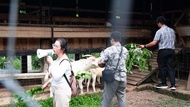 Bali Eco Farm Ubud | Authentic Balinese Rice Farming & Cultural Soul Experience