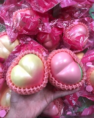 IBLOOM MEDIUM SIZE PEACH SQUISHY