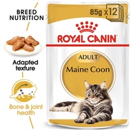 Royal Canin Mainecoon Pouch 85gr - Makanan Basah Kucing Mainecoon 
