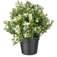 IKEA FEJKA Artificial potted plant,  9 cm