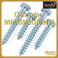 Galvanized hexagonal self-tapping DIN571 Galvanized wood screw Self-tapping screw Extended hexagonal