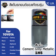 Toyota Cement Gray Car Touch-Up Paint 1h5
