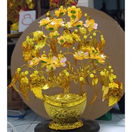 Money tree to attract fortune 30cm in many designs