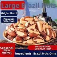 NomNomBox | Imported Healthy Natural Brazil Nuts