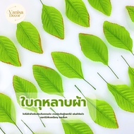 Rose Leaves Pack Of 100 Size 1-9 (PF-D0801-0809) Artificial For Handicrafts