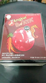 Jamu tangkur buaya Berkualitas
