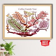 Coffee Poster Coffee Species Family Tree A2 - World Coffee Tree Diagram + Premium Wooden Frame