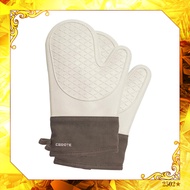 CAROTE heat resistant mittens, oven mitten, oven gloves, pot holders, silicone “glaze” (set of 2)