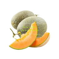 香洋哈密瓜 2粒 Green Textured Honey Melon 2 Seeds (Fruit Development Day: 42 days,Orange red flesh, can be