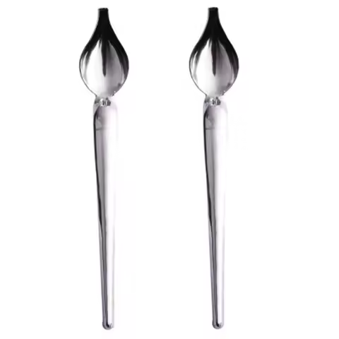High Quality 2 Pcs Stainless Steel Culinary Precision Drawing Deco Spoon Set, Sauce Drizzle Spoon Pl