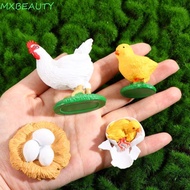 MXBEAUTY1 Growth Cycle Model For Kid Biology Butterfly Growth Cycle Insect Animals Chicken Spider Li
