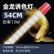 Arowana T8 RGB Tanning  LED Light Special For Arowana MGBB Golden Head 24k Arowana