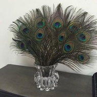 Peacock Feather Real Feather Home Furnishing Decoration Living Room Decoration Large Piece Vase of P