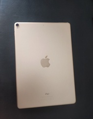 (月中前再減200）Apple iPad Pro 10.5 / 新套 / Wifi 64GB iPadOS 17.4